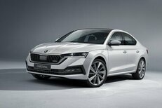 Skoda Octavia — аренда в Калининграде